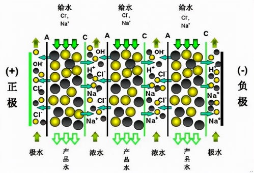 輕松買 放心用 低成本 讓edi技術走進普通實驗室